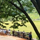 계족산황톳길 이미지