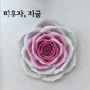 일산 퍼스널컬러 진단 예쁠아