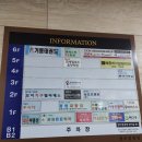 일태리살롱 내돈내산후기/안주5개 먹기