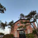 하늘29 | 제천 느좋 레스토랑 하늘29 후기