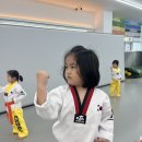새담태권도장 네이버블로그