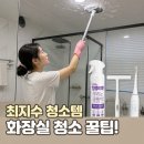 [광고]나혼자산다 최지수 청소용품 화장실 청소템 후기