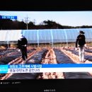 영서농장 이미지