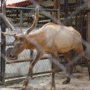 말코농장 이미지