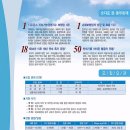 동부화재해상보험(주) Daum카페