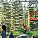 방식농장 이미지