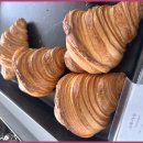 서귀포서비스 이미지