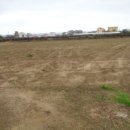 구좌중앙초등학교 이미지