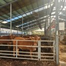 형우농장 이미지