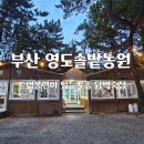 솔밭농원 | 영도솔밭농원 2025 초복 닭백숙 먹으러 ~ 솔직후기