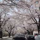 (주)설악주유소 이미지