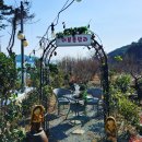 더뷰풀빌라 이미지