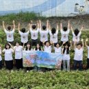 대소원면 행정복지센터 이미지