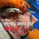 고은수산 | 연안부두 어시장 대방어 포장 가격 시세 해선수산