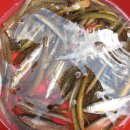 잠자리팬션 이미지