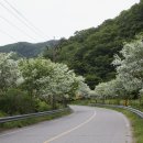 산북보건진료소 이미지