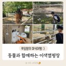 [포천 캠핑장] 동물과 함께하는 이색 캠핑장 가래골 농원 캠핑장 후기