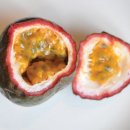 프루트