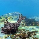 백운포로 이미지