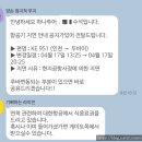 경남서부세관 | 여행] 240417 두바이 폭우로 인한 여행 취소 후기 :: 역사열, 항공편 결항 시 대응 방법, 면세품 반품...