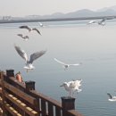 광장메디케어 이미지