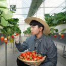 파리바게뜨충남 이미지