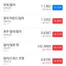 우진사료공업(주) | 2025년 4월 18일(금) 아침시황