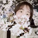 빛이나는피부 | 강남 역삼역 피부과 피부 빛이 나는 신상 스킨보톡스 릴리톡스 솔직후기