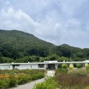 성암휴게소식당 | 청주 근교 카페, 보은 폐교 카페, 일상화카페에서 전시&체험&카페 한번에!