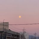 레푸스울산삼산점 이미지