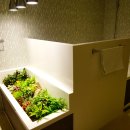 폴로관광호텔 이미지