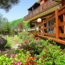 가을동화펜션 | 애견동반 가을동화펜션 예약하려다 충격… 5kg 넘는 강아지는 입실도 못 한다는데 진짜?(+소형견, 애견...