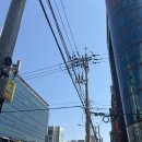 유진스의원 이미지