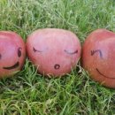 행복애농원 이미지