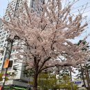 GS25 공덕파크자이점 이미지