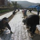 인평농장 이미지