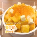 정항우케익카페무거점 | 무거동 신상 빙수 맛집 빙수당 울산대점 망고치즈케익우유빙수 내돈내산 후기