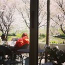 조금느린집 이미지