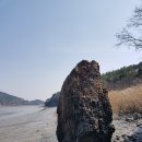 용당사 Daum카페