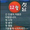 늘좋은날 - 홍성군 | 늘좋은날