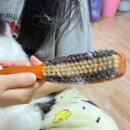고양이털관리 뷰리앤또띠(BURI&amp;TTOTTI) 뭉친털 완벽제거!