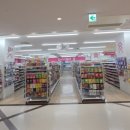 코차몰