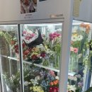 청라 꽃집 감성 미쳤다… 은은플라워아틀리에 꽃다발 후기