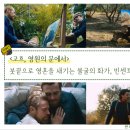 남다른소(성서점) | 영화로 만나는 명화와 예술가들 강의 후기 : 붓끝으로 영혼을 새기는 불굴의 화가, 빈센트 반 고흐...