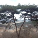 보청천 옥천-13 이미지