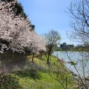 지리산쌍계한의원 이미지