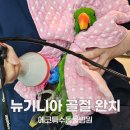서울앵무새 | 18살 뉴기니아 앵무새 다리 골절 완치 후기 (서울 앵무새병원)
