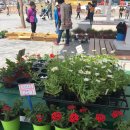 오로주유소 화장실 이미지