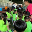 동원새싹어린이집 이미지