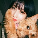 모모문구 이미지